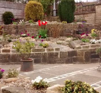 Stone Terrace and Rockery